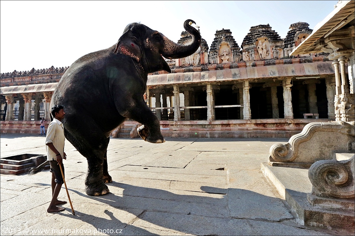 HAMPI - sloní pozdrav