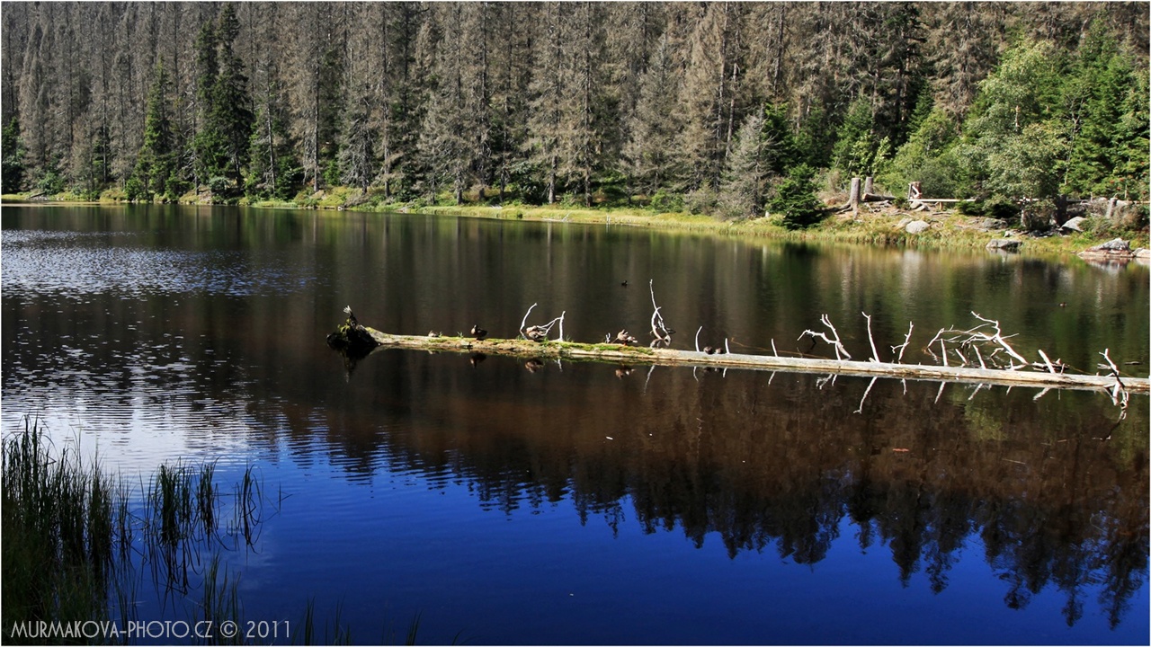 Jezero Laka