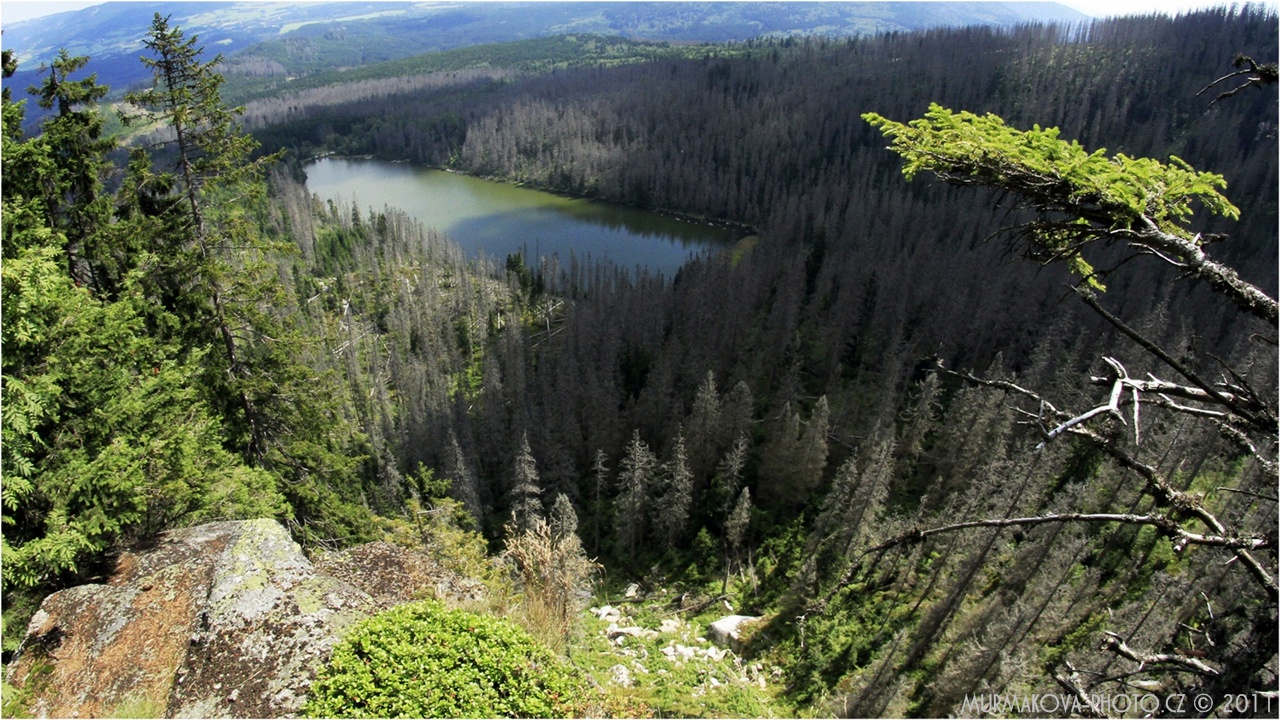 Jezero Plešný