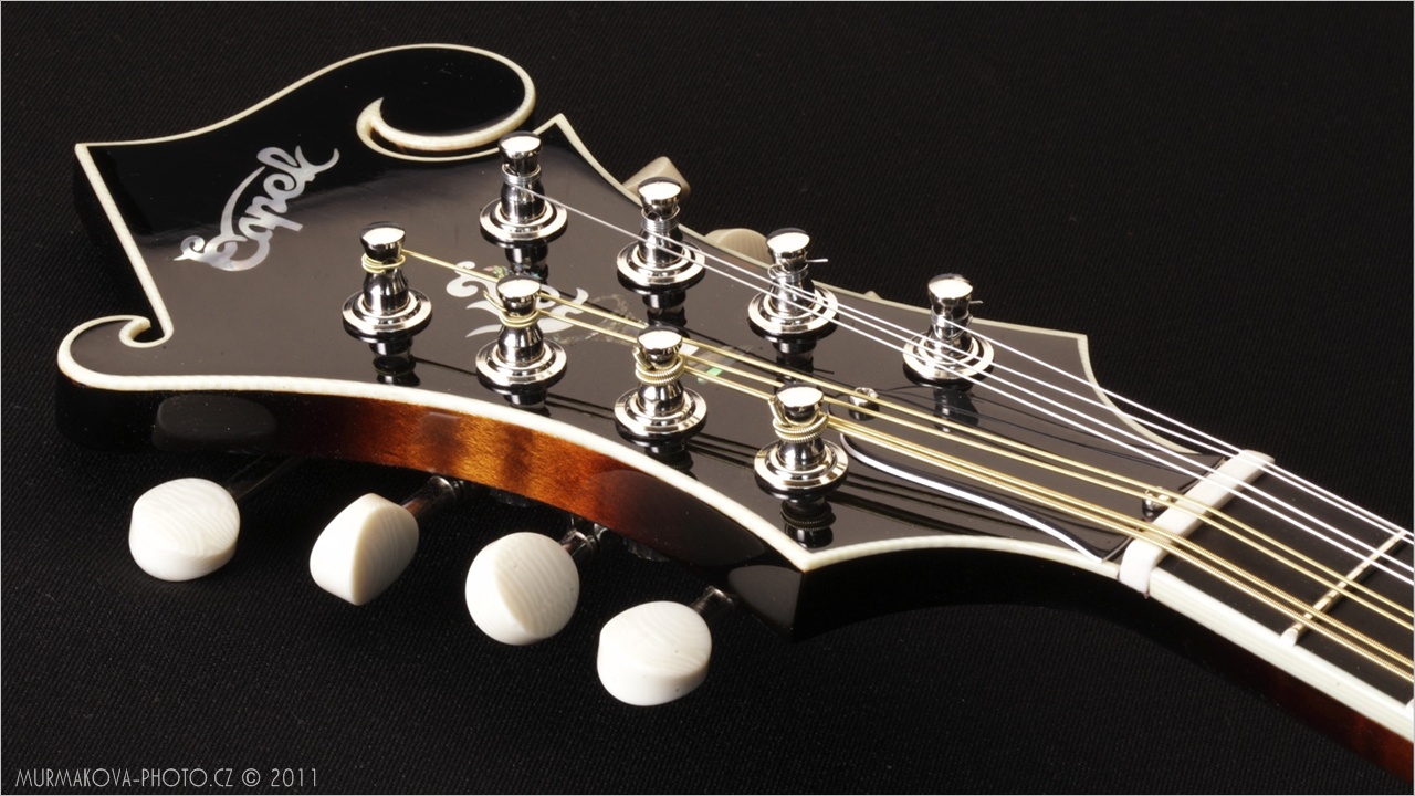 Tenor old era mandola